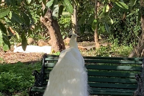 Bungala House 1856 - Hotel WA 4