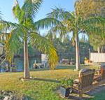 The Oasis on Jacobs Drive - Hotel WA