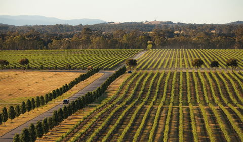 The Mitchelton Hotel Nagambie - MGallery By Sofitel - Hotel WA 1