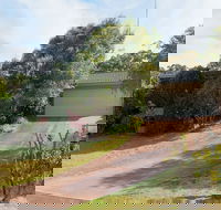 Wildflowers at Fingal Bay