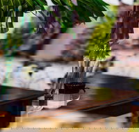 Coal d' Vine VIEW - Cessnock NSW - Hotel WA