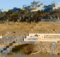 Ecocrackenback 9 'Sustainable chalet close to the slopes.' - Hotel WA