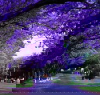 Park view on the City Fringe - Hotel WA