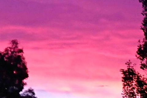 Abelia BIG SPA NO 1 Cottage - Hotel WA 6