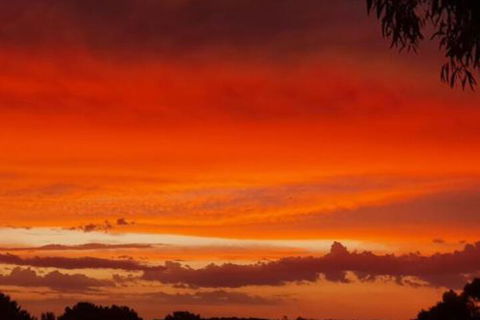 Abelia BIG SPA NO 1 Cottage - Hotel WA 4