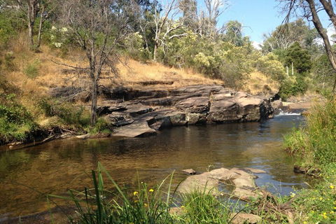 Eagles Nest - Hotel WA 3