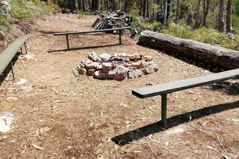 Minnow Cabins - Hotel WA 5