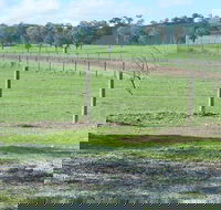 Yea Woodduck Cottage - Hotel WA