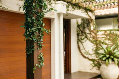 ESPRIT 2 PALM COVE BRAND NEW - Hotel WA 0