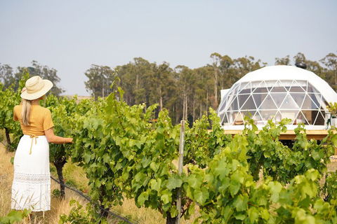 Domescapes In The Vines - Hotel WA 5