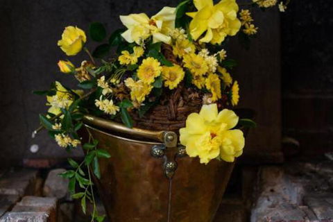 Sargeants & Armoury Cottages 1823 - Hotel WA 6