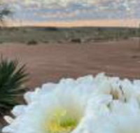 White Cliffs Underground Motel - Hotel WA