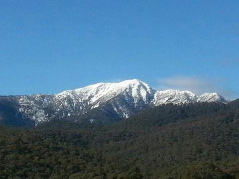 Alps Lodge - Hotel WA 4
