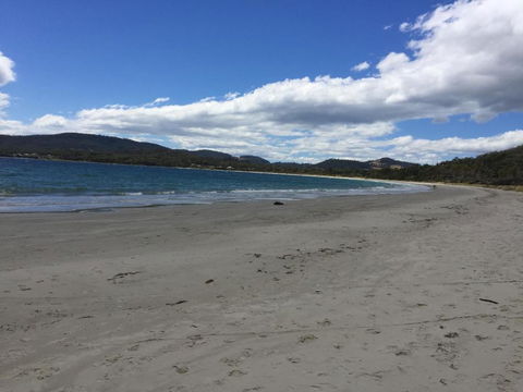 Chill Tasmania - Hotel WA 3