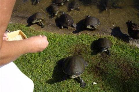 Alexander Lakeside Bed & Breakfast - Hotel WA 7