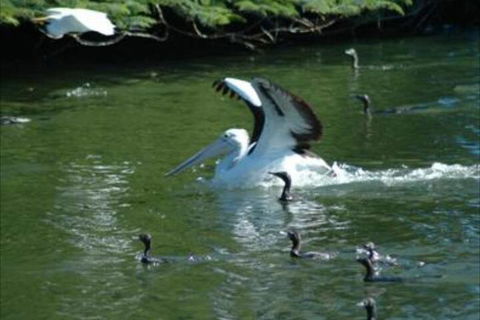 Alexander Lakeside Bed & Breakfast - Hotel WA 5