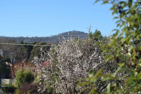 Mulberry Cottage B&B - Hotel WA 5