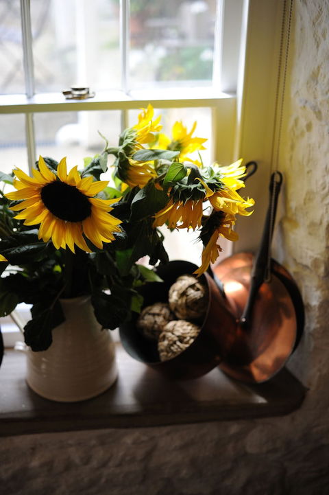 Red Feather Inn - Hotel WA 5