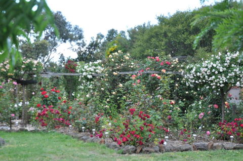 Fairy Wren Cottage Country To Coast Retreat - Hotel WA 6