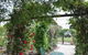Fairy Wren Cottage Country To Coast Retreat - thumb 1
