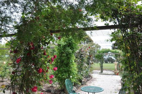 Fairy Wren Cottage Country To Coast Retreat - Hotel WA 1
