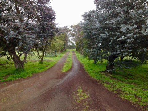 Fairy Wren Cottage Country To Coast Retreat - Hotel WA 4