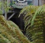 The Wombat Cottage - Hotel WA