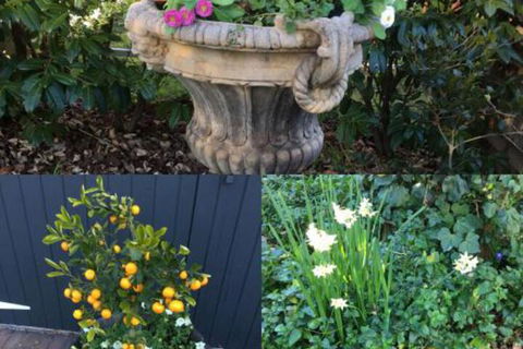 Clubbe Cottage - Hotel WA 7