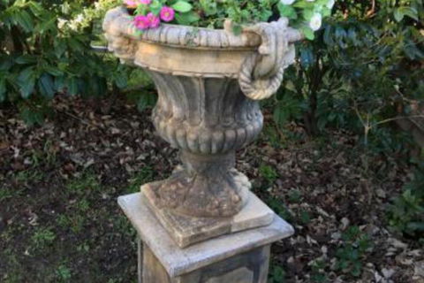 Clubbe Cottage - Hotel WA 6