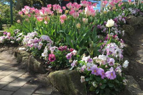 Clubbe Cottage - Hotel WA 2