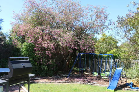 Sisters Beach Paradise - Hotel WA 3