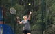 Blackwattle At Barrington Tops - thumb 0