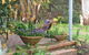 Aashay B & B - thumb 1