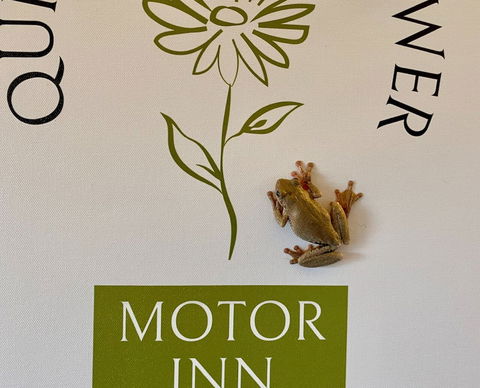 Quirindi Sunflower Motor Inn - Hotel WA 2
