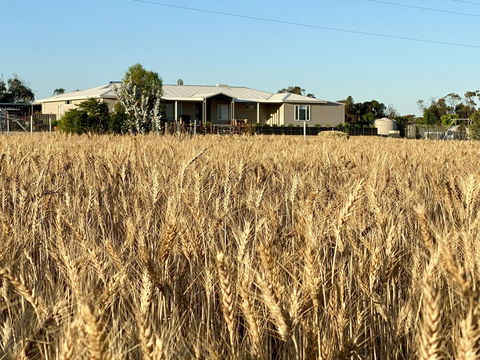 The Mains Guest House - Hotel WA 0