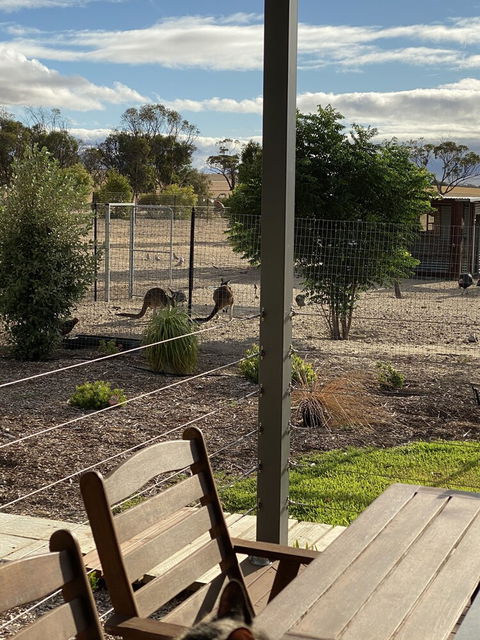 The Mains Guest House - Hotel WA 3
