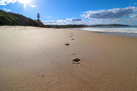 Surfers Paradise At Catherine Hill Bay - Hotel WA 2