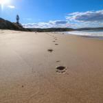 Surfers Paradise At Catherine Hill Bay - Hotel WA 0