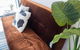 Olympus Wolli Crk 5.14 - thumb 1