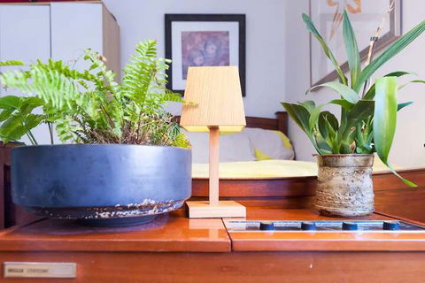 Beautiful Lush & Green Oasis Studio Apartment - Hotel WA 6