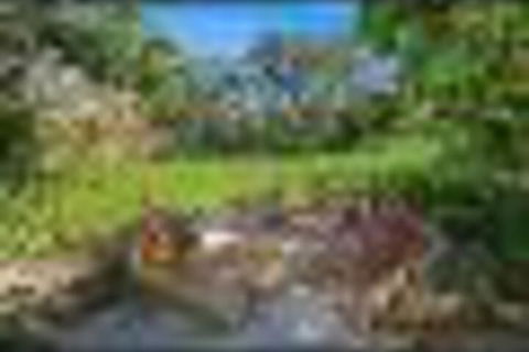 Retreat Apartment - Hotel WA 3