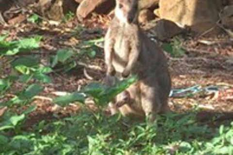 Sunbird Motel - Hotel WA 1