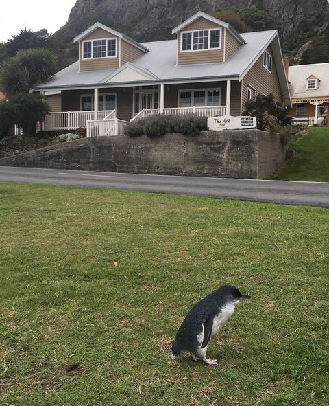 The Ark Stanley - Hotel WA 4