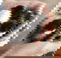 Margaret River Hideaway - Hotel WA