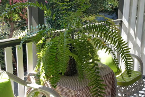 Elindale House Bed & Breakfast - Hotel WA 4