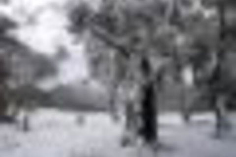 Twin Seasons 5 Deluxe Holiday Apartment - Hotel WA 4