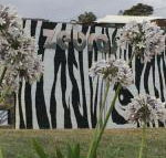Zebras Guest House - Hotel WA