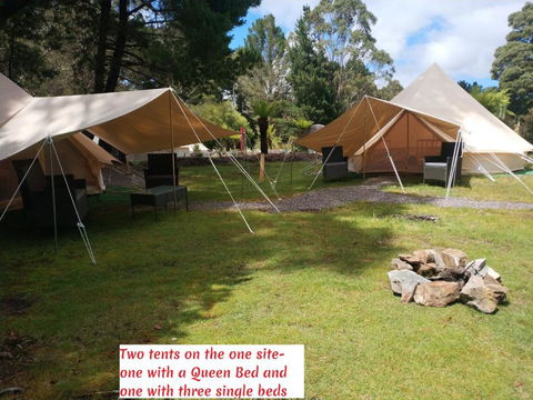 Glamping At Zeehan Bush Camp - Hotel WA 2