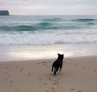 Breakers at Mudjimba Beach - Hotel WA