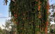 Amarina Farm Stay & Gardens - thumb 6